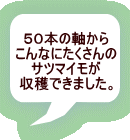 �T�O�{�̎����� ����Ȃɂ�������� �T�c�}�C���� ���n�ł��܂����B 