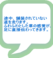 �r���C�ܑ�����Ă��Ȃ� ���𑖂�܂��B �ӂ�ӂ�Ƃ������̊��o���C ���ɒ��ړ`����Ă��܂��B