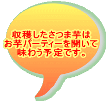 ���n�������܈��� �����p�[�e�B�[���J���� ���키�\��ł��B 