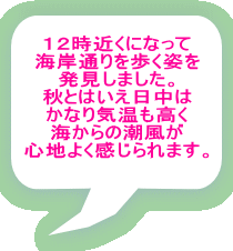 �P�Q���߂��ɂȂ��� �C�ݒʂ������p�� �������܂����B �H�Ƃ͂��������� ���Ȃ�C�������� �C����̒����� �S�n�悭�������܂��B