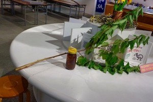 DSC00335