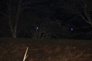 IMG_4916