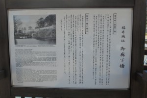 DSC02557