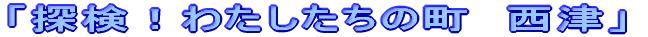 ��ʈ��S����
