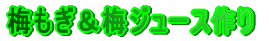�~�������~�W���[�X