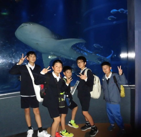 修学旅行（6年生） - 小浜市立西津小学校